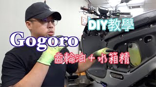 gogoro系列 齒輪油 水箱精更換教學！！！！ ＃gogoro [upl. by Ahsir]