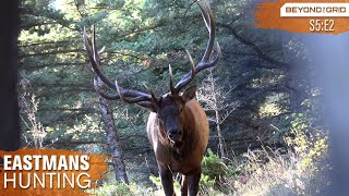 Giant Bull Up Close Bow Hunting Elk in 4K [upl. by Sukhum923]