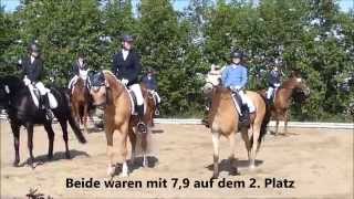 FMA Turnier Bad Rothenfelde 2015 [upl. by Sosthena875]