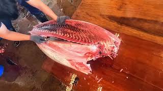 Unbelievable Giant Bluefin Tuna Otoro Cutting Masterpiece [upl. by Publias]