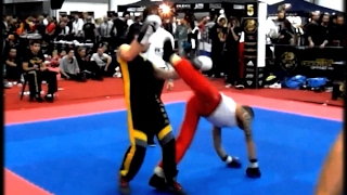 SAVATE Assault  Combattimento Highlights [upl. by Nathanael873]