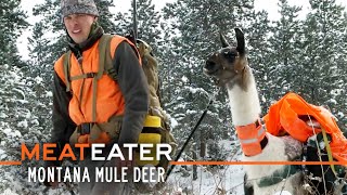 Brotherhood Badlands amp Pack Llamas Montana Mule Deer  S1E07  MeatEater [upl. by Rosenzweig402]