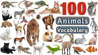 Animals Vocabulary In English ll 100 Animals Name In English With Pictures [upl. by Nennerb]