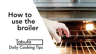 How to use the broiler [upl. by Innor833]