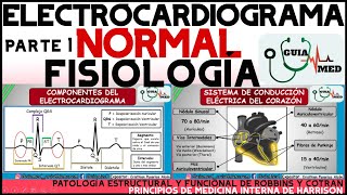 ELECTROCARDIOGRAMA NORMAL GUYTON  GuiaMed [upl. by Gnot]