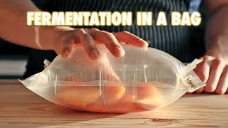 The Easiest Way To Ferment Any Fruit LactoFermentation [upl. by Ever]