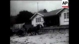 CHATHAM ISLAND FILMED FOR FIRST TIME [upl. by Gautious]