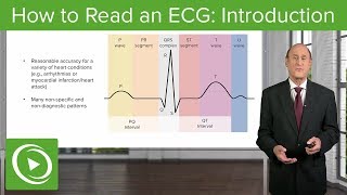 How to Read an Electrocardiogram ECG Introduction – Cardiology  Lecturio [upl. by Emeline]