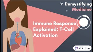 Immune Response Explained TCell Activation [upl. by Older359]