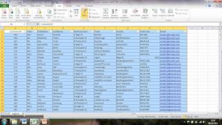 Removing Duplicates in Excel 2010mp4 [upl. by Eniron]