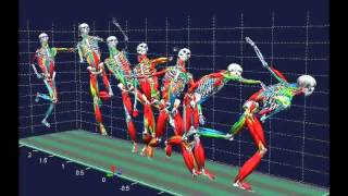 Biomechanical analysis [upl. by Annoerb797]