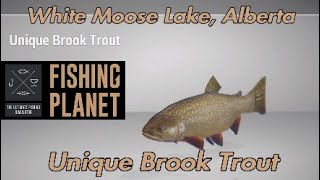 Unique Brook Trout  White Moose Lake Alberta  Fishing Planet Guide [upl. by Acila]