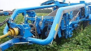 Standen  TSP1900  Sweet Potato Harvester  USA [upl. by Akimyt]