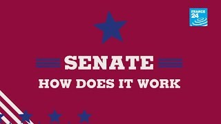 US Midterms Senate how does it work [upl. by Nemzzaj]