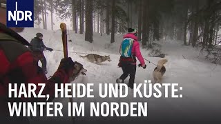 Erlebnis Winterzauber  die nordstory  NDR Doku [upl. by Lehar]