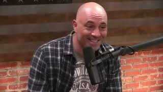 Joe Rogan Reacts to Michael Pollans DMT Story [upl. by Paola]