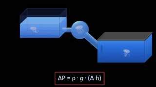 Hydrostatic Pressure Fluid Mechanics  Lesson 3 [upl. by Eugen990]