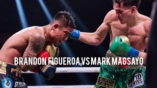 Figueroa vs magsayo highlights [upl. by Naryb813]