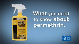 What You Need to Know about Permethrin [upl. by Nalaf]