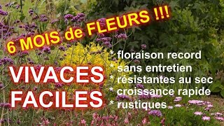 VIVACES FACILES à TRES LONGUE FLORAISON  5 super plantes [upl. by Ariahs]