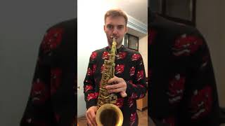 Test  Dukoff D7 mouthpiece  Schiller Vintage alto sax [upl. by Amihsat]