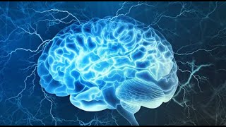 How does the subconscious mind work New video [upl. by Bartosch993]