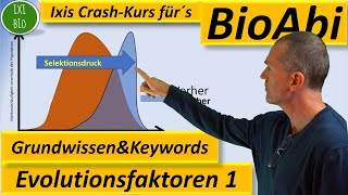 Evolution 1 Evolutionsfaktoren  Grundwissen  Übersicht  Training Wortschatz Keywords BioAbi [upl. by Fasta255]