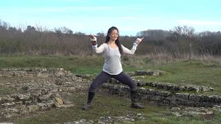 Qigong for the Water Element Nourishing Practices for Body Mind and Spirit [upl. by Mendie408]