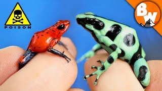 Which Poison Frog Can Kill You [upl. by Aneehta]