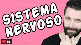 SISTEMA NERVOSO  FISIOLOGIA  Aula  Biologia com Samuel Cunha [upl. by Zirkle]