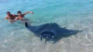 Manta Pizzo 21082014  31082014 HD [upl. by Ilak421]