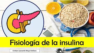 🔴 FISIOLOGÍA DE LA INSULINA [upl. by Enirolf]