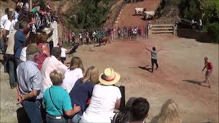 ENCIERRO EN TORRES DE ALBARRACIN TERUEL  2023 [upl. by Michey814]