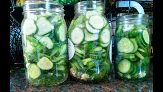 Garlic Dill Refrigerator Pickles Super Simple Recipe [upl. by Ellenahs]