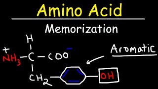 Memorize The 20 Amino Acids  The Easy Way [upl. by Ietta]