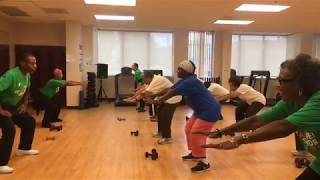 Strength Training Workout for Older Adults [upl. by Monteith]