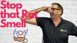 Get Rid of That Dead Rat Smell [upl. by Samal]