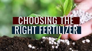 Choosing the right fertilizer for vegetable gardens [upl. by Geoffrey986]