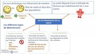 Les déterminants [upl. by Notwal]