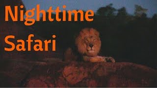 Full Nighttime Kilimanjaro Safaris ride at Disneys Animal Kingdom [upl. by Trina626]