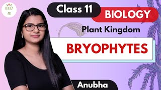 Class 11  Bryophytes Plant Kingdom  NCERT [upl. by Ahsener]