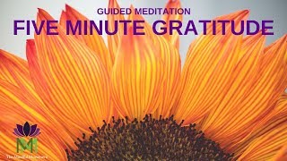 5 Minute Guided Meditation for Gratitude  Mindful Movement [upl. by Nickles]