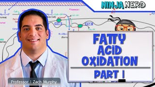 Metabolism  Fatty Acid Oxidation Part 1 [upl. by Yrailih]