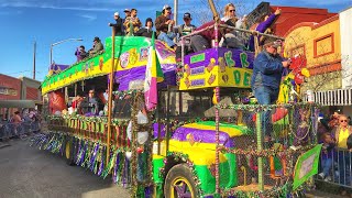 Traditional Cajun Country Mardi Gras Experience  Eunice and Mamou Louisiana [upl. by Lister569]