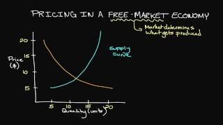 Pricing in a FreeMarket Economy [upl. by Alejandrina]