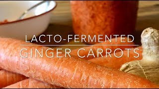 Make Fermented Ginger Carrots  A Sweet Super Probiotic Food [upl. by Favrot]