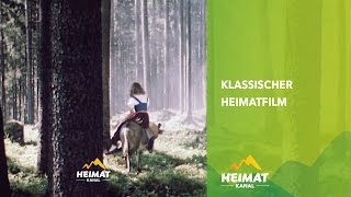 Klassische Heimatfilme  Heimatkanal [upl. by Willett]