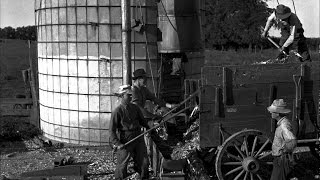 Threshing Machine Farmers Working Together [upl. by Ameerahs]