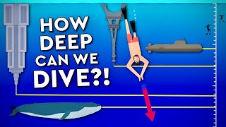 What Is The DEEPEST A Human Can DIVE Debunked [upl. by Eivlys]