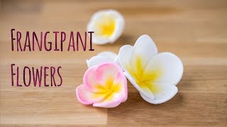 How to make a sugar frangipani plumeria flower  by Minh Cakes [upl. by Ttennej]